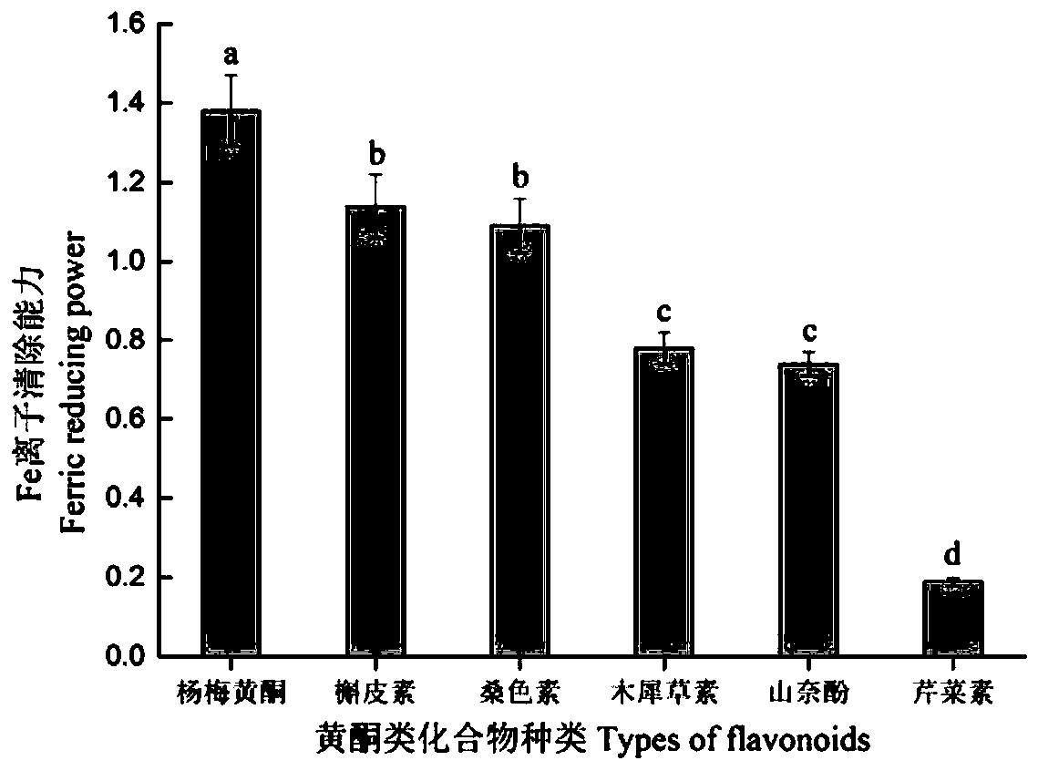 Manufacture method of dried salted marine eel with low content of biogenic amine and authentic flavor