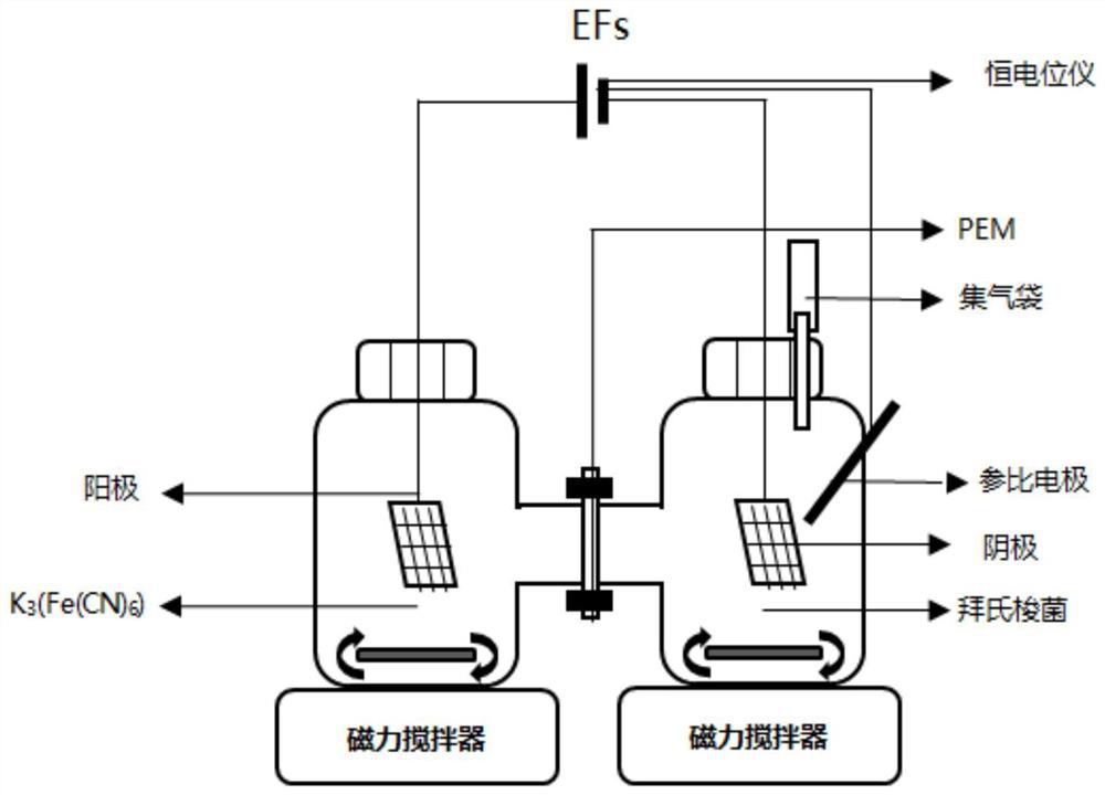 Cathodic electric fermentation method for preparing hydrogen and butanol by electron transfer mediator enhanced clostridium beijerinckii fermentation