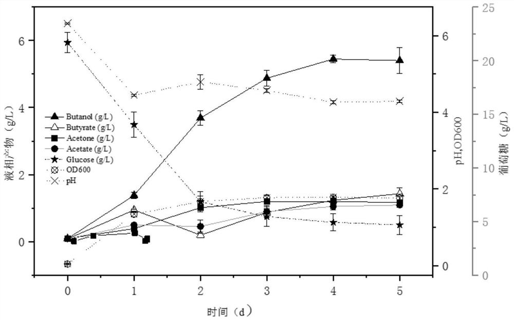 Cathodic electric fermentation method for preparing hydrogen and butanol by electron transfer mediator enhanced clostridium beijerinckii fermentation