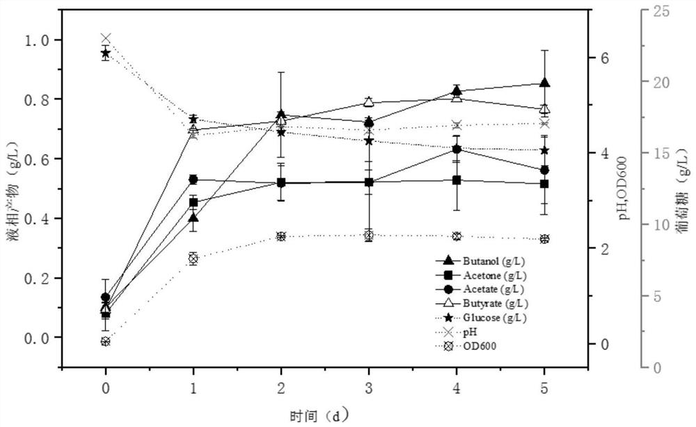 Cathodic electric fermentation method for preparing hydrogen and butanol by electron transfer mediator enhanced clostridium beijerinckii fermentation