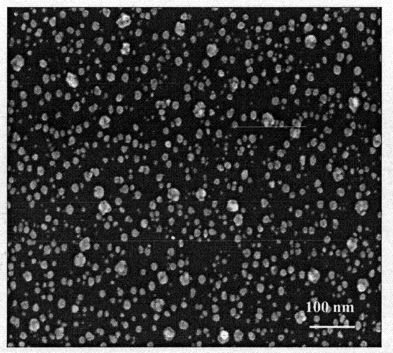 Metal particle-amorphous diamond composite anode for fuel cell and preparation method thereof