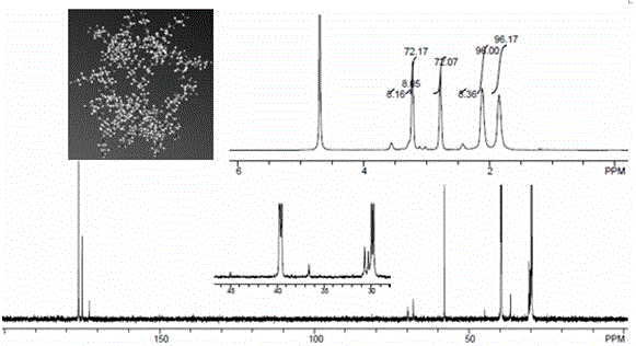 A dendritic gene drug carrier and its preparation and application