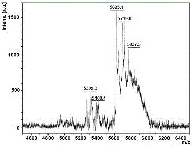 A dendritic gene drug carrier and its preparation and application