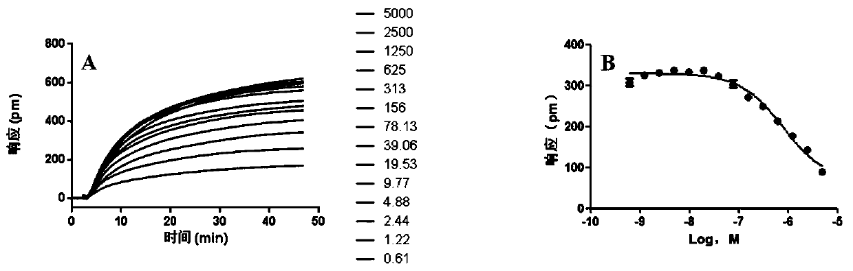 Cell screening model of label-free muscarinic receptor M4