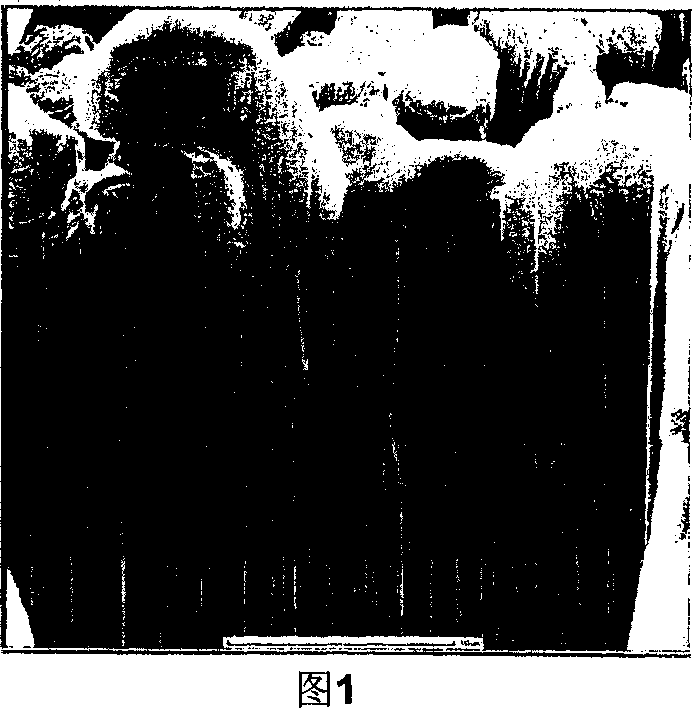 Lithium secondary battery and method for producing same