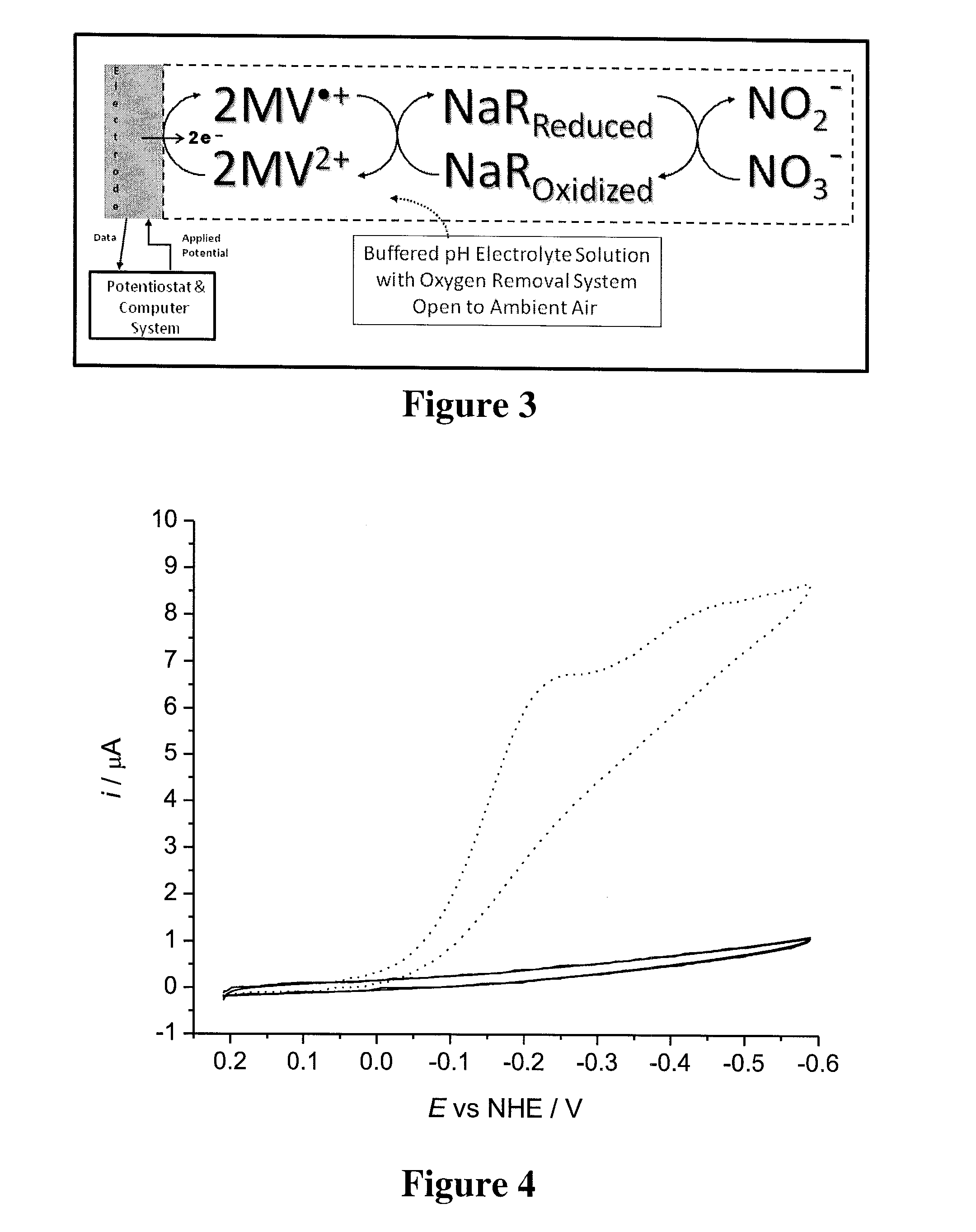 Systems and Methods for Enzymatic Oxygen Removal