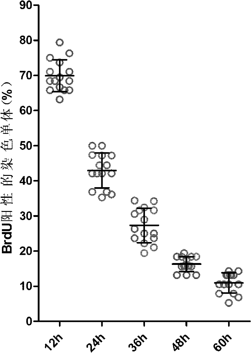 Method for monitoring number of cell division, and application thereof