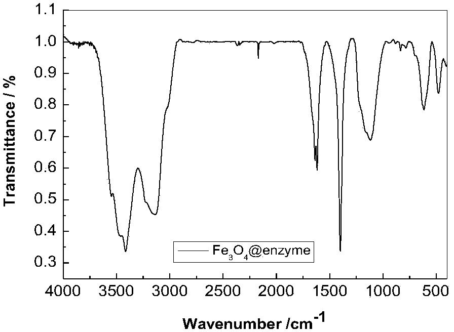 Method for preparing magnetically regenerable immobilized bio-enzyme