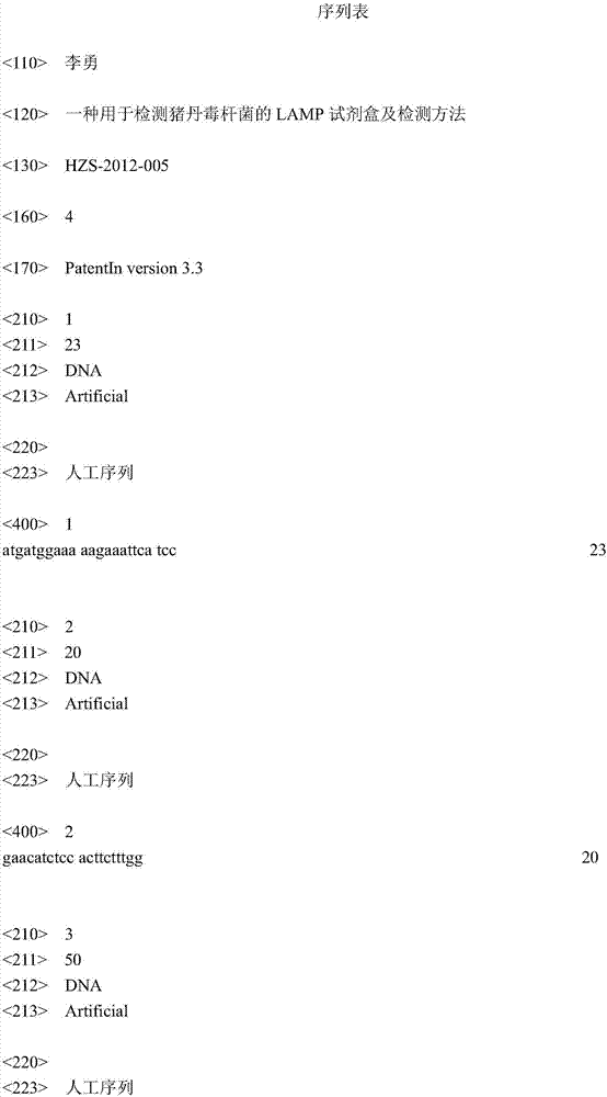 A kit and detection method for detecting bacteria