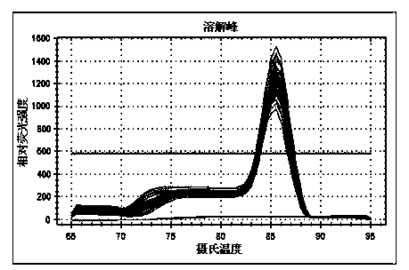 Method for rapidly obtaining coding region sequence of goose ferritin heavy-chain gene and quantitatively detecting expression of gene, and primers thereof