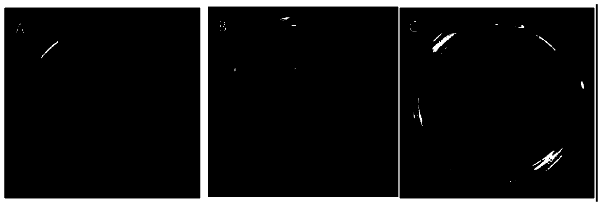 Quantitative polymerase chain reaction (qPCR) detection method for residual viable bacteria and spores of production strain in vitamin B2 as well as primers and probes used in qPCR detection method