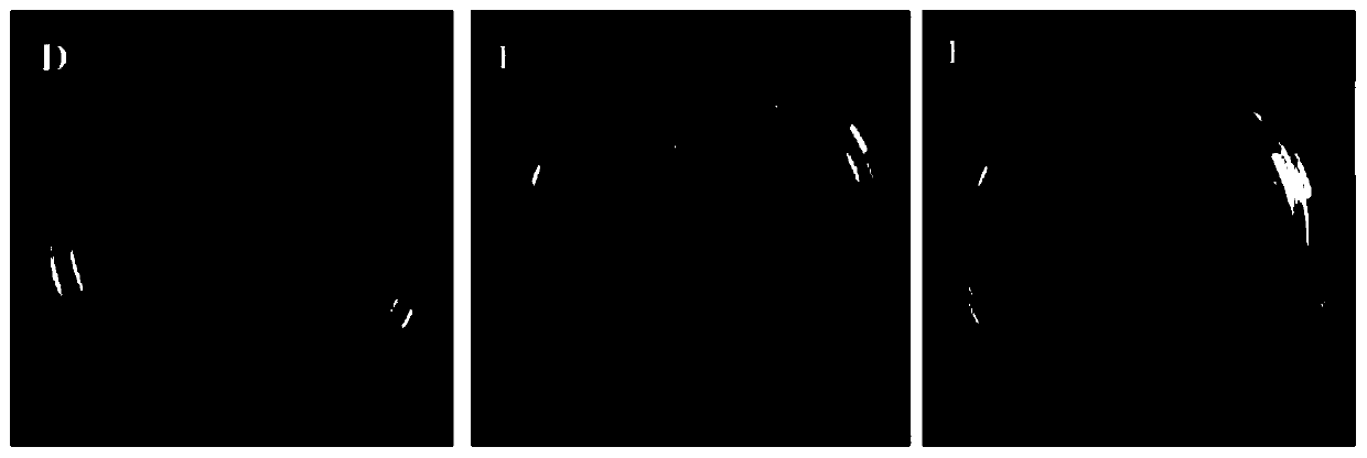 Quantitative polymerase chain reaction (qPCR) detection method for residual viable bacteria and spores of production strain in vitamin B2 as well as primers and probes used in qPCR detection method