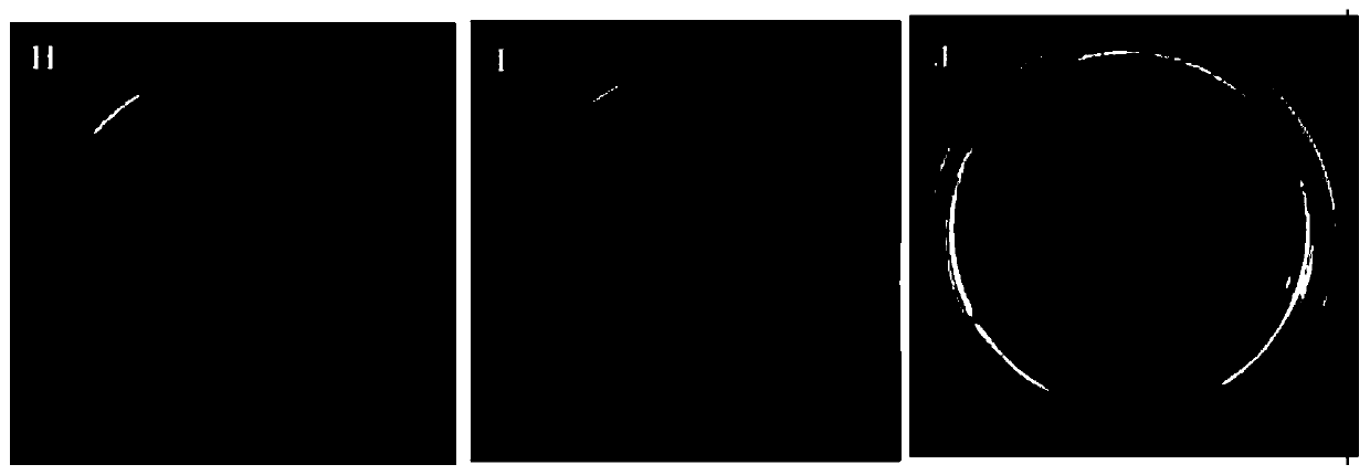 Quantitative polymerase chain reaction (qPCR) detection method for residual viable bacteria and spores of production strain in vitamin B2 as well as primers and probes used in qPCR detection method