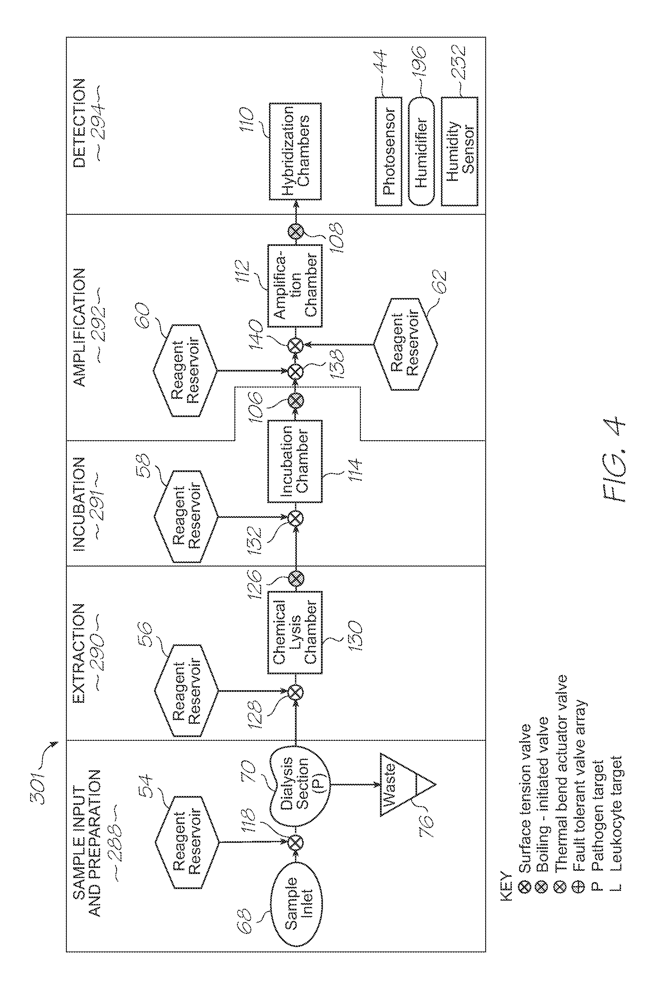 Test module with parallel nucleic acid amplification sections