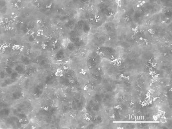 A kind of preparation method of micro-nano composite structure on the surface of titanium material