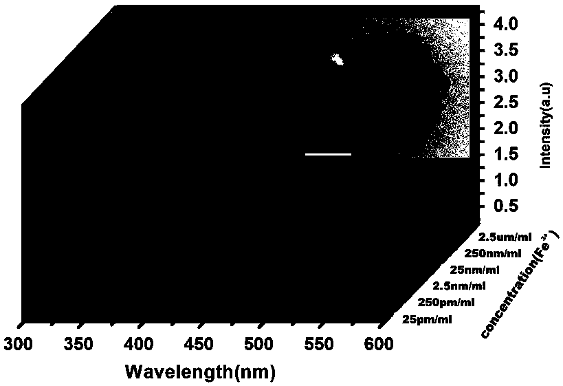 One for detection of fe  <sup>3+</sup> The organic fluorescent sensing probe of the present invention and its preparation method, use method and application