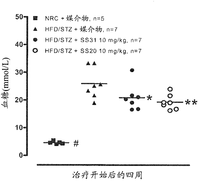Methods for preventing or treating metabolic syndrome
