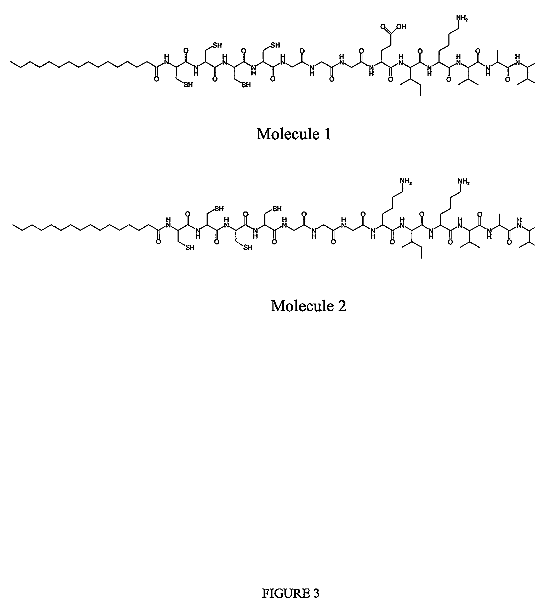 Composition and method for self-assembly and mineralization of peptide amphiphiles
