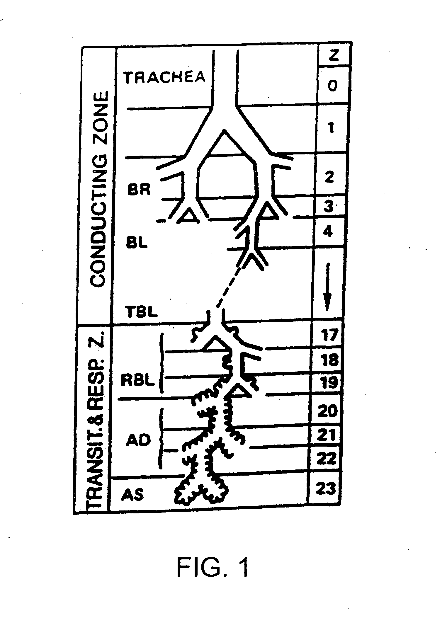 System for effecting smoking cessation