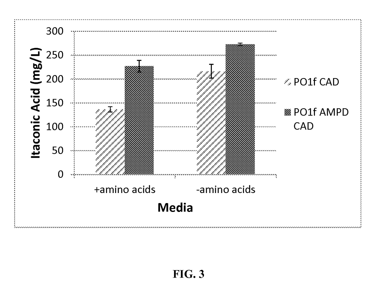 Engineered fungi for itaconic acid production