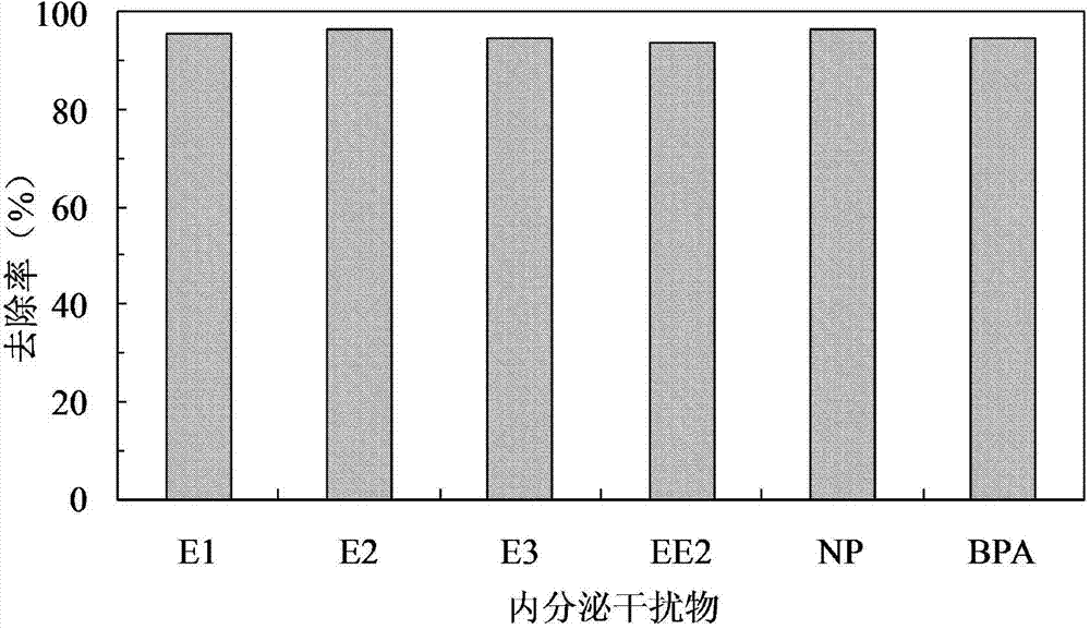 Water treatment compound agent for removing organic pollutants in oxidation mode with high-activity singlet oxygen and water treatment method thereof
