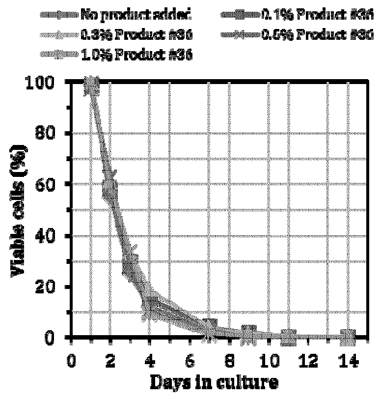 Anti-aging composition comprising a plant extract