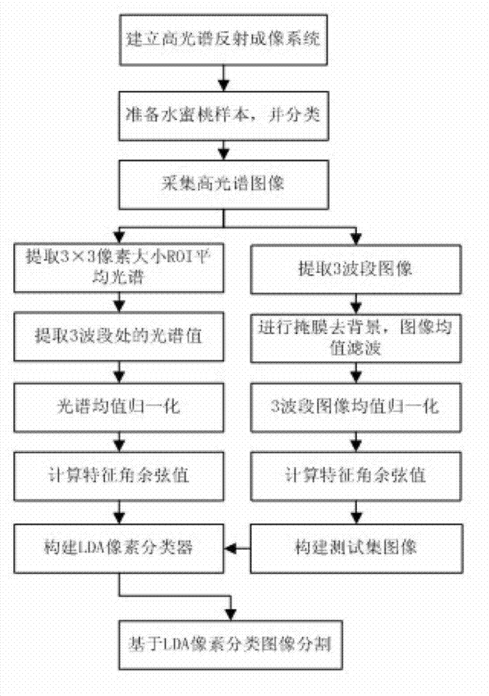 Characteristic angle cosine value method for detecting defects of honey peach brown rot