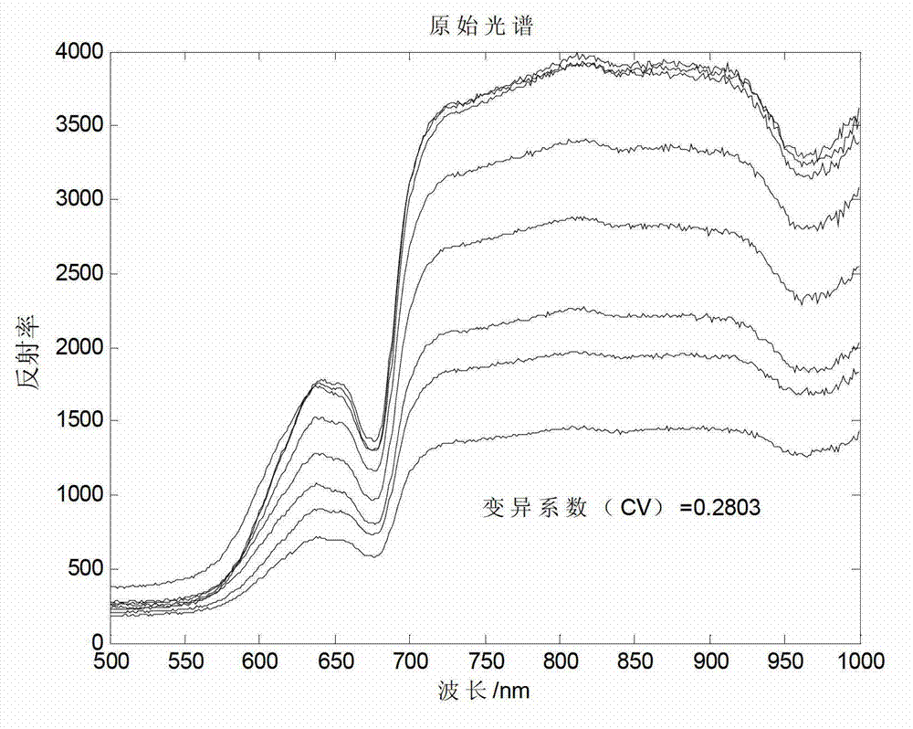 Characteristic angle cosine value method for detecting defects of honey peach brown rot