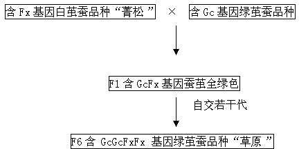 Method for cultivating natural green cocoon silkworm variety