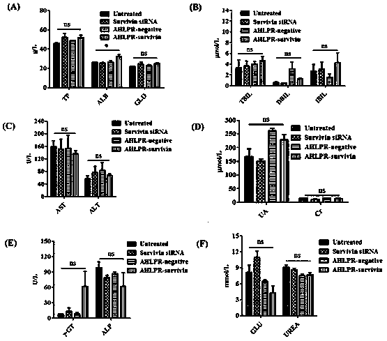 Antibody, polypeptide and nucleic acid combined treatment targeting carrier as well as preparation method and application thereof