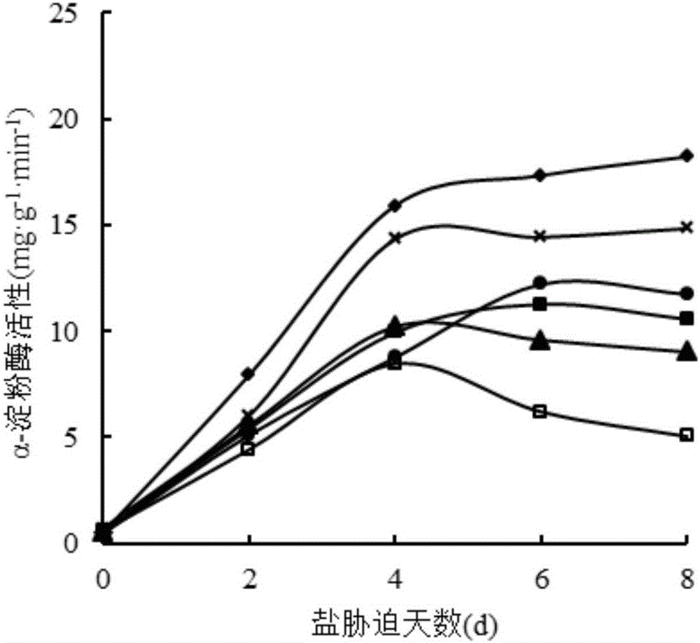 Purpose of gamma-aminobutyric acid for improving corn seed germination and root system growth under salt stress