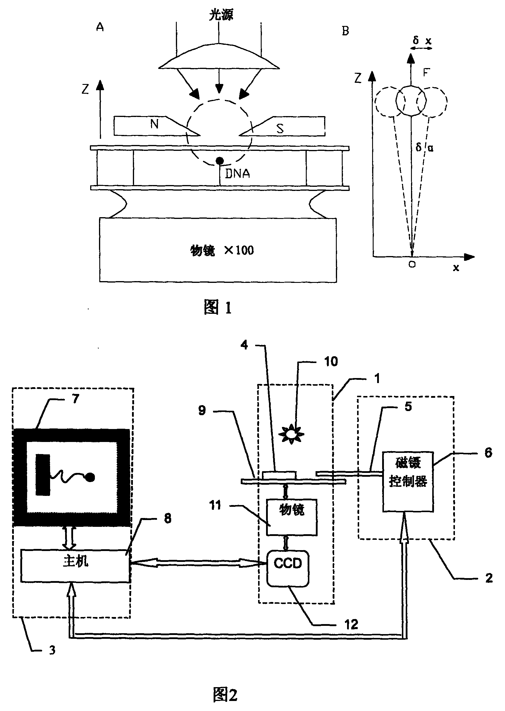 Monomolecular control transverse magnetic forceps device