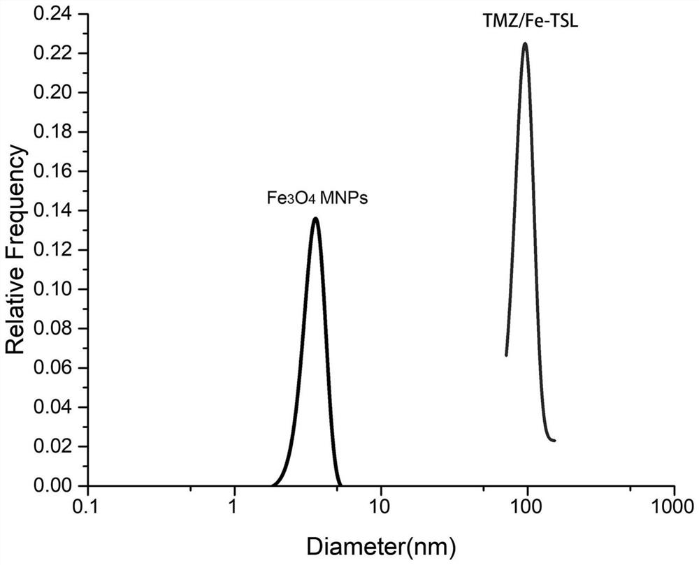 Temozolomide magnetic temperature-sensitive liposome and preparation method thereof