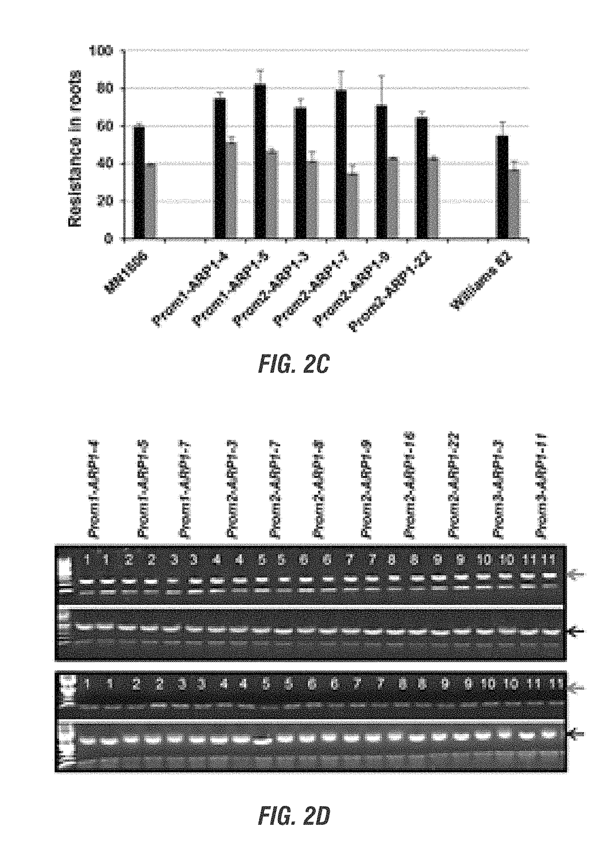 Glycine max resistance gene(s) and use thereof to engineer plants with broad-spectrum resistance to fungal pathogens and pests