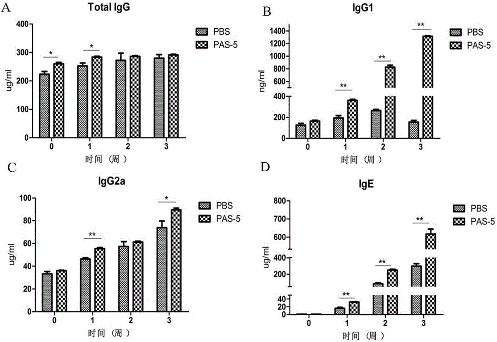 Application of Angiostrongylus Cantonensis protein PAS-5
