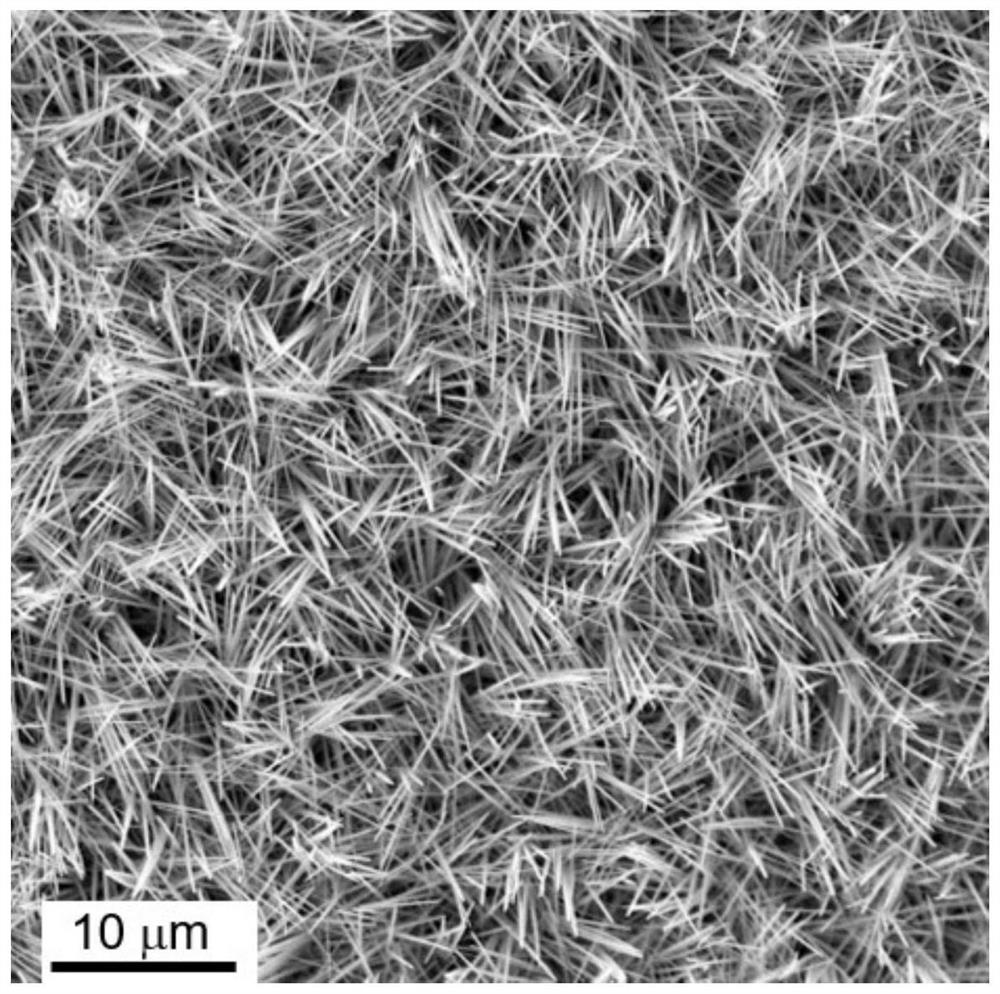 Copper oxide nanowire loaded silver particle composite electrode, preparation method and application