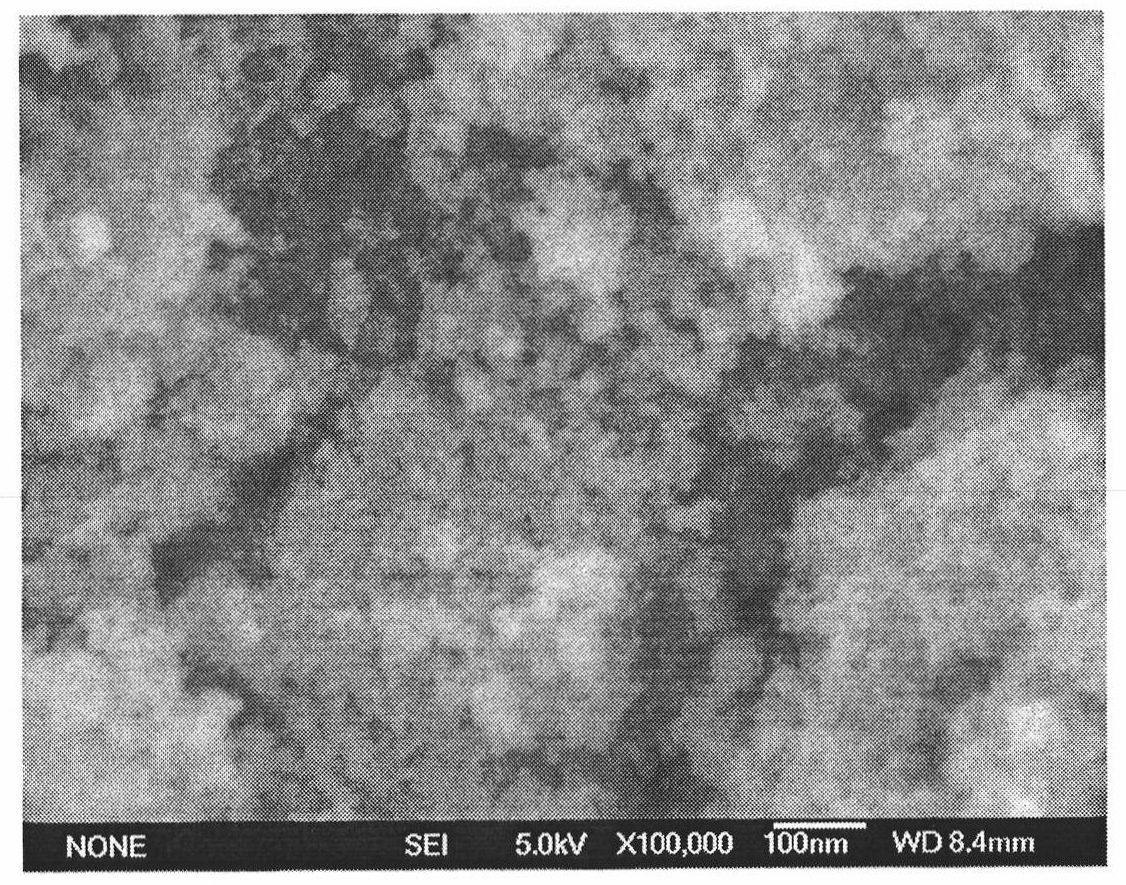 Gold shell magnetic nanoparticles, preparation thereof and use thereof
