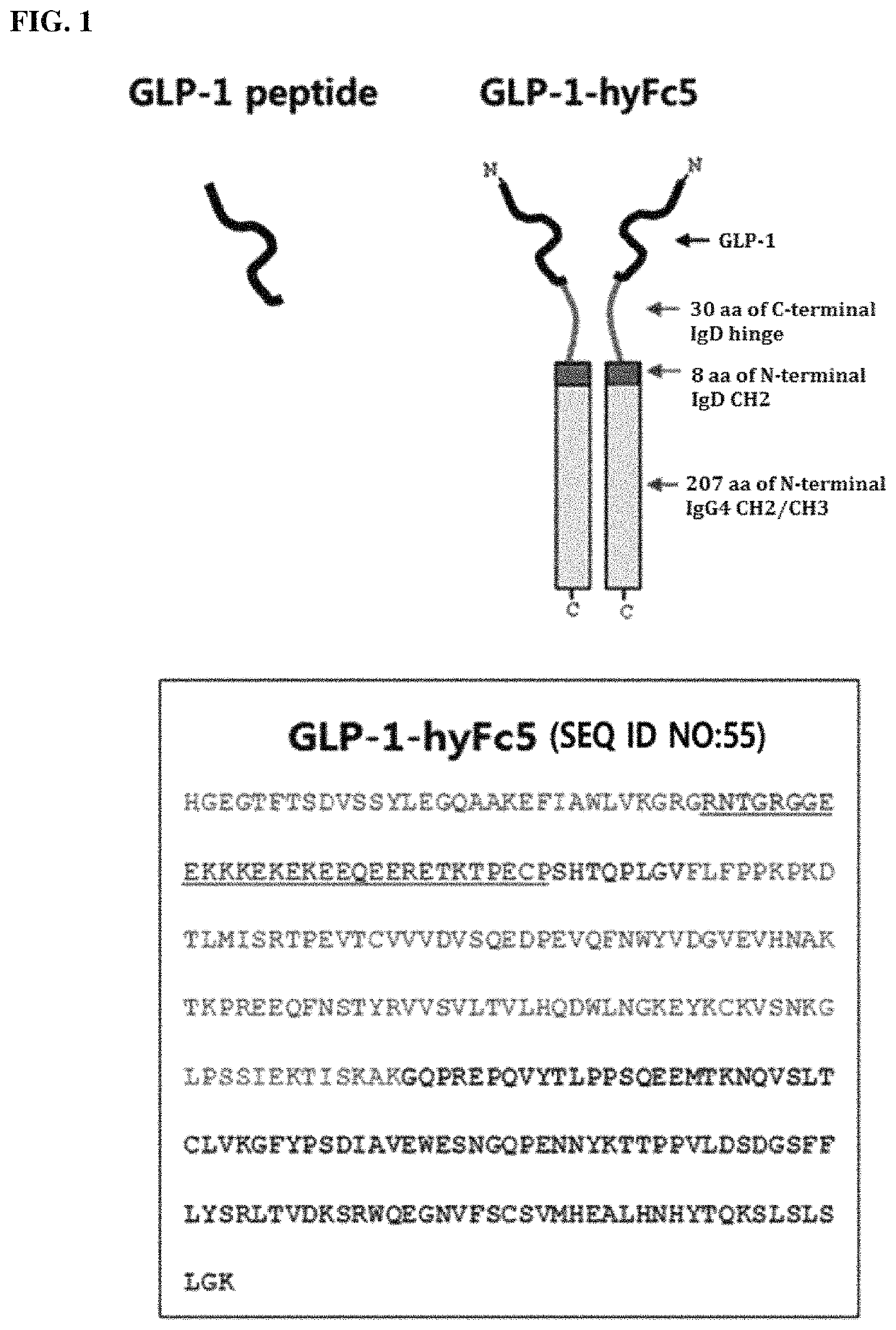 Fusion polypeptide containing GLP and immunoglobulin hybrid Fc and use thereof