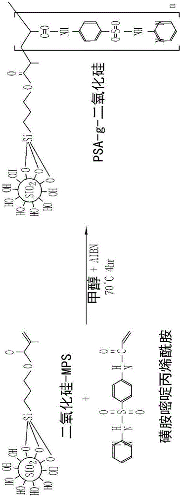 Membranes having antibiotic and hydrophilic properties and preparation method thereof