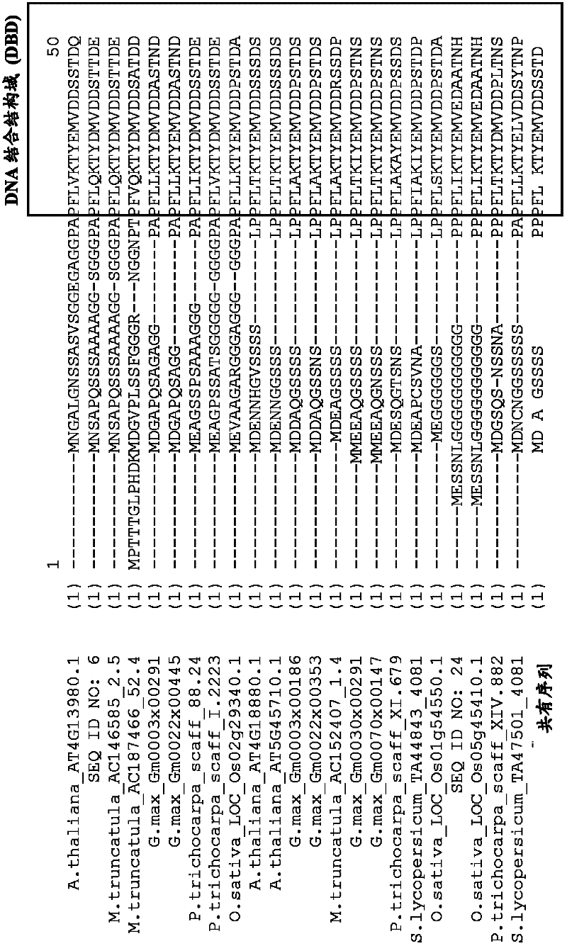 Plants having enhanced yield-related traits and a method for making the same