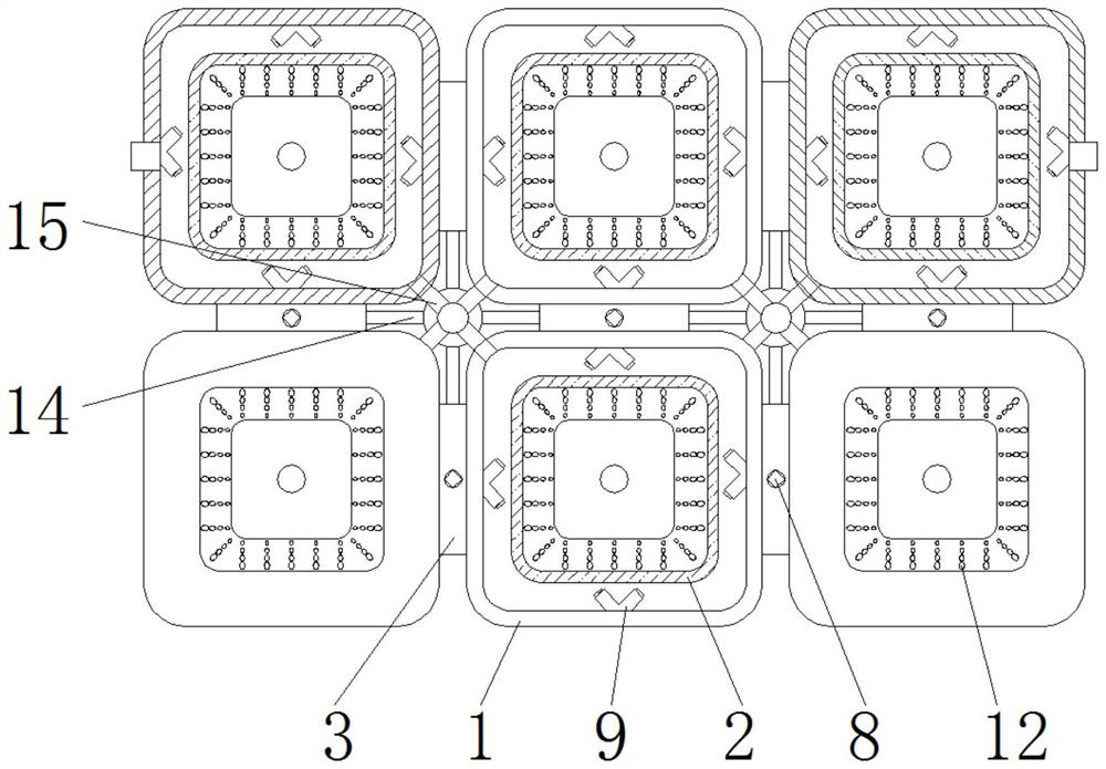 Seedling tray for seedling storage and transportation