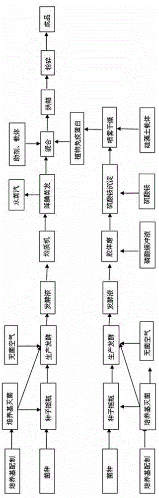 Biological protein preparation for preventing and controlling citrus huanglongbing and preparation method for biological protein preparation