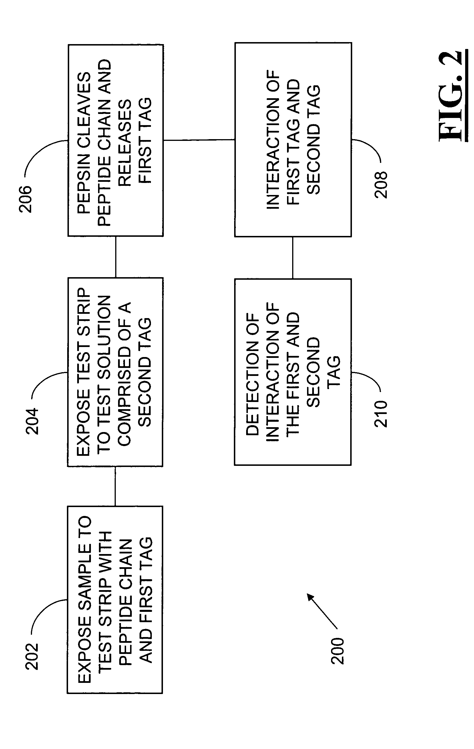 Method and apparatus for the detection of an enzyme
