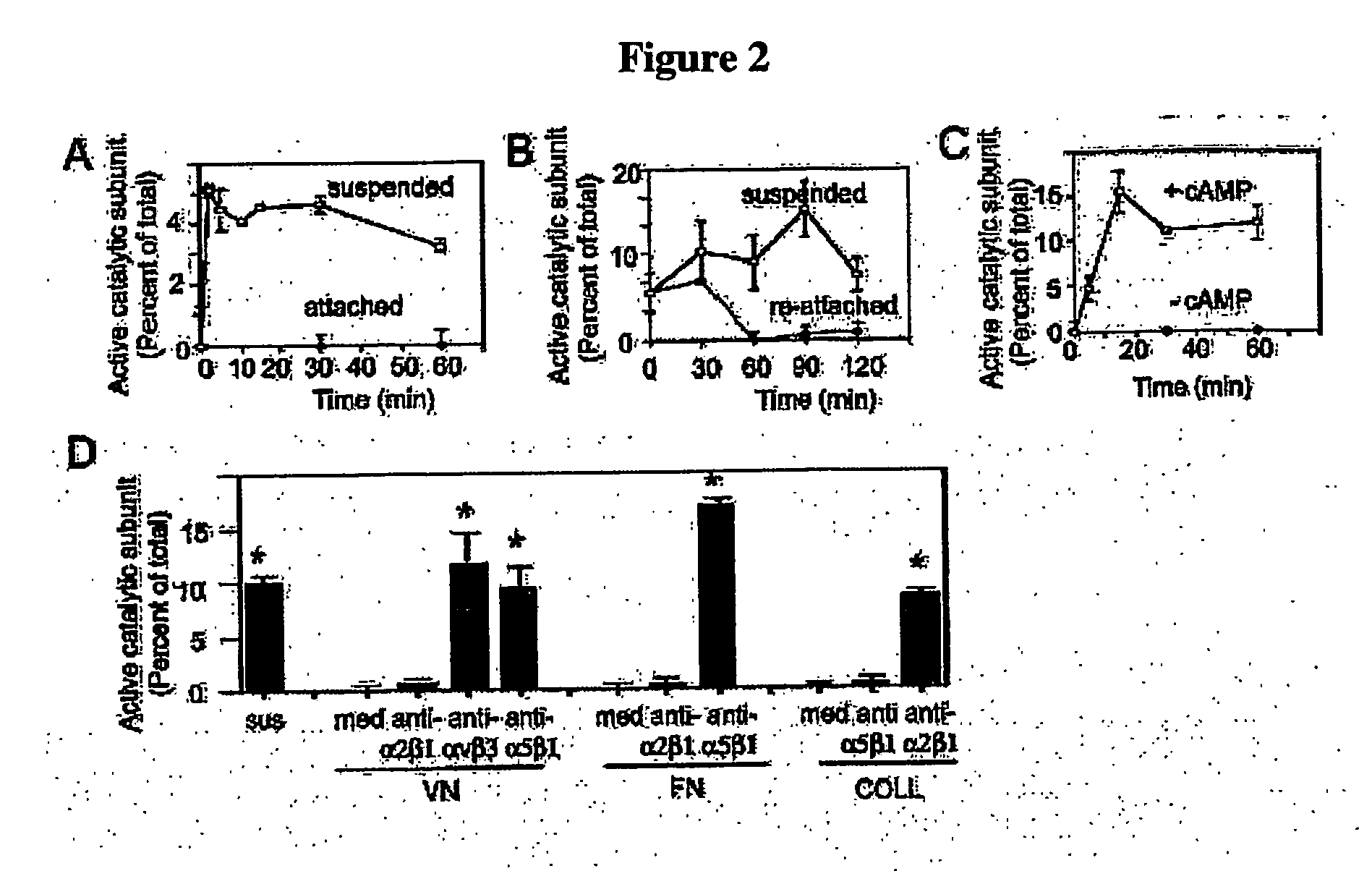 Methods For inhibiting angiogenesis, cell migration, cell adhesion, and cell survival