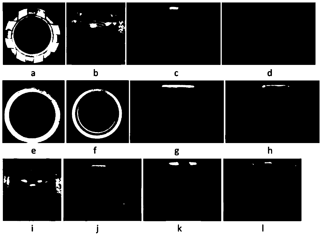 Nut defect detection method and device based on machine vision