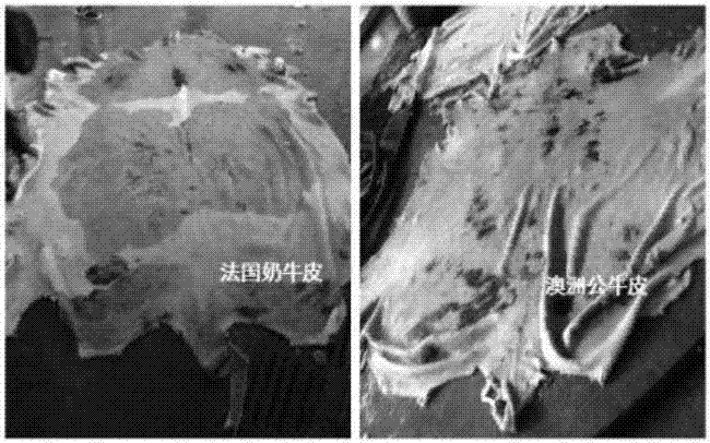 Alkaline compound dehairing enzyme preparation for tanning and its application process