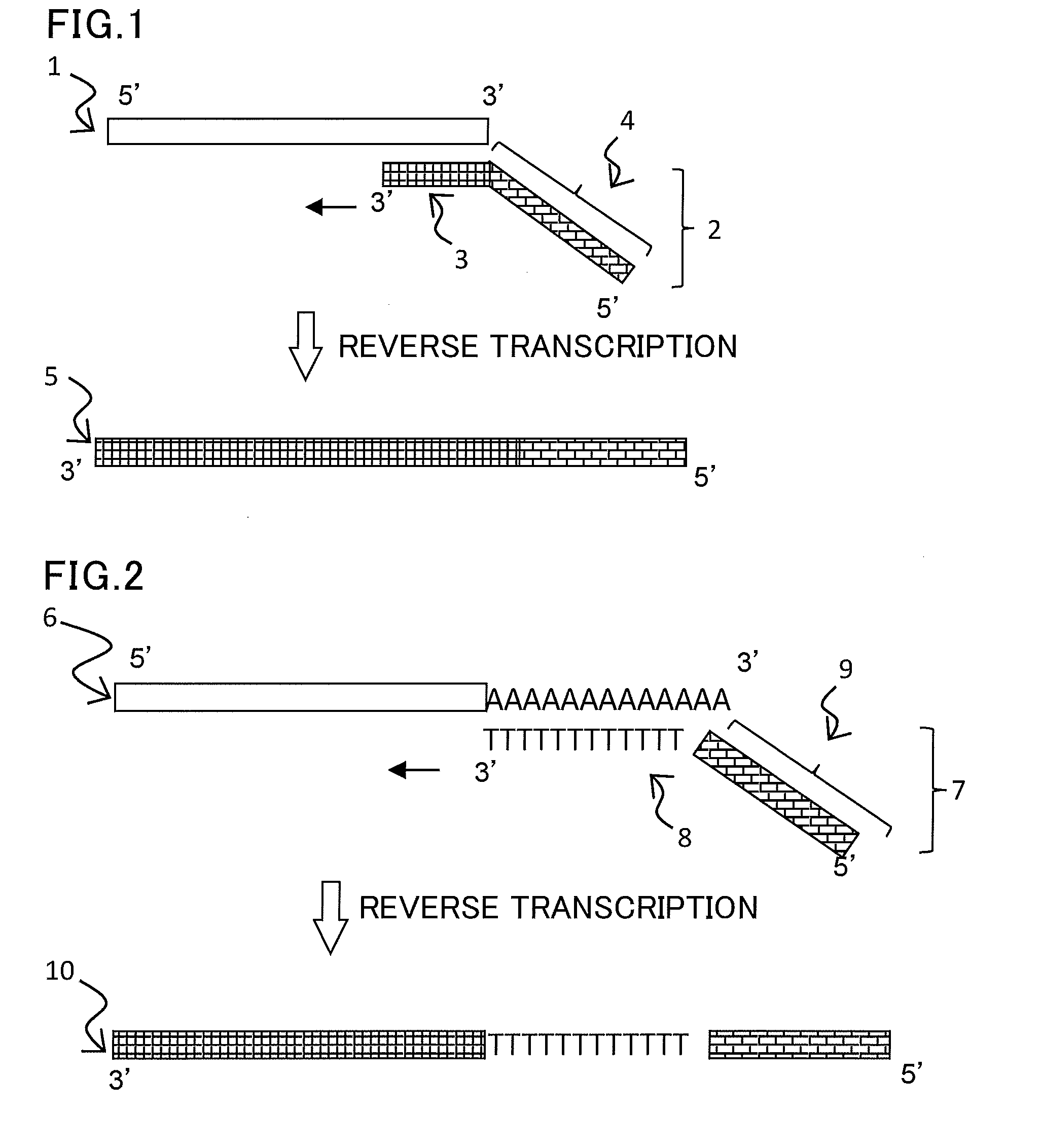 Short-chain RNA detection method