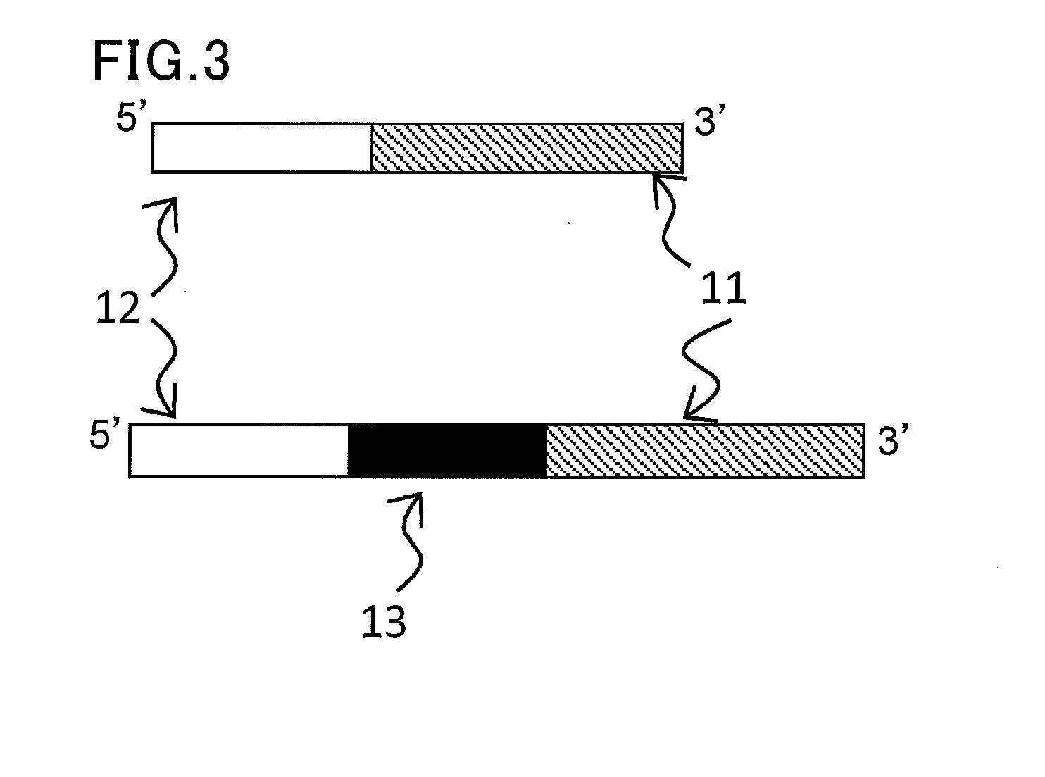 Short-chain RNA detection method