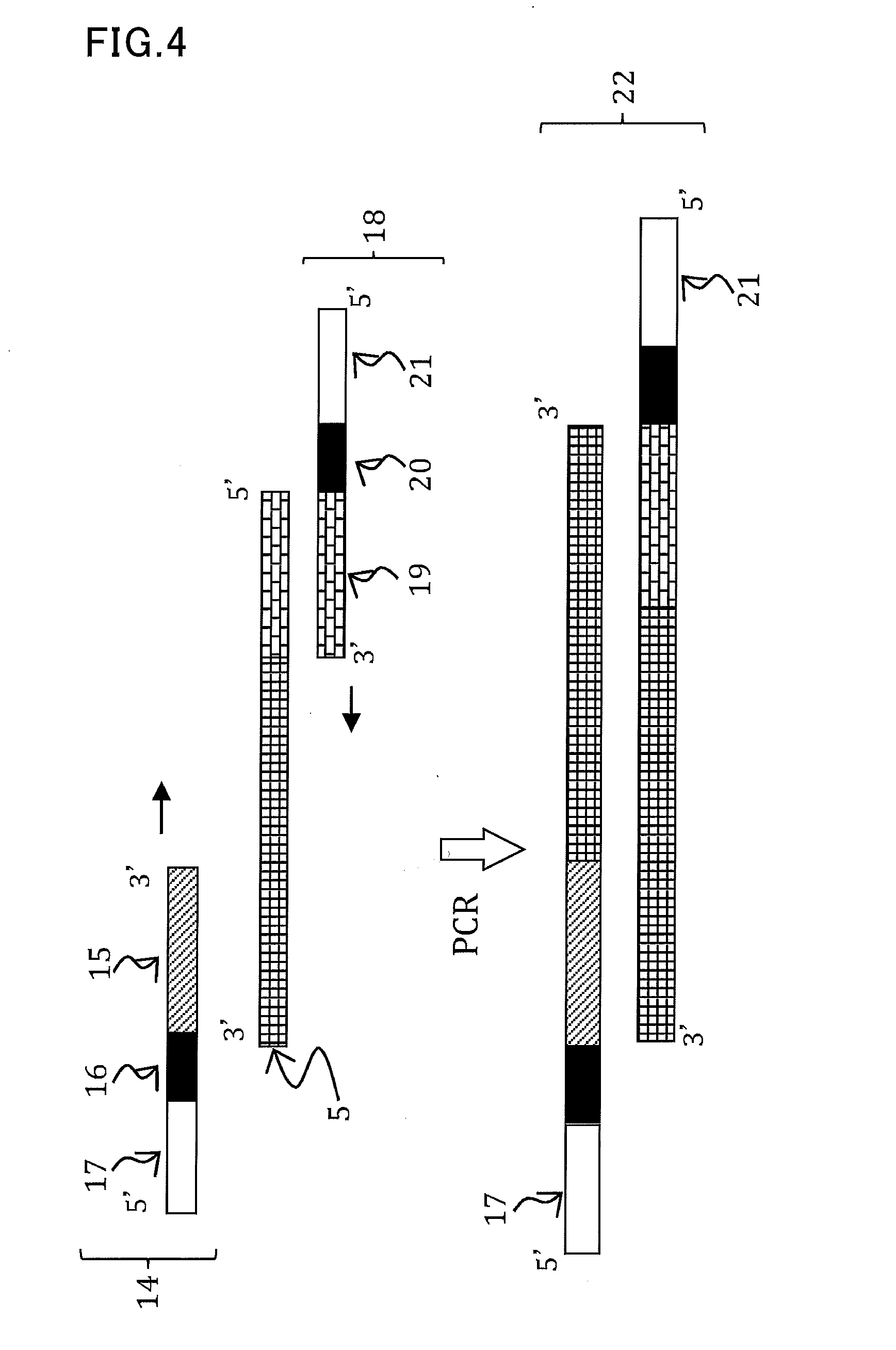 Short-chain RNA detection method