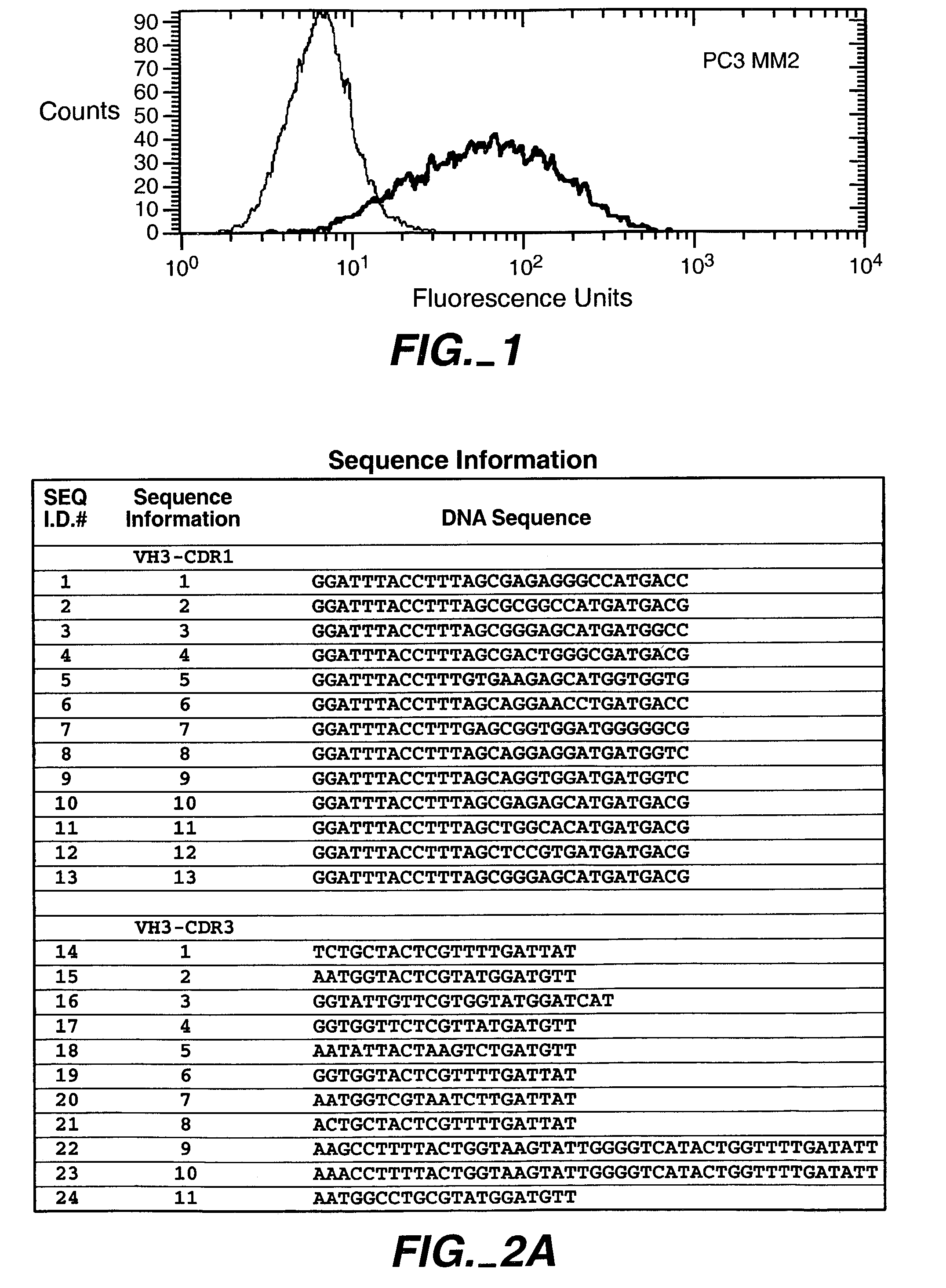 Human antibodies that have MN binding and cell adhesion-neutralizing activity